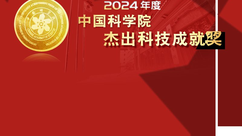 系统集成商项目经理招聘要求：关键能力与素质解析