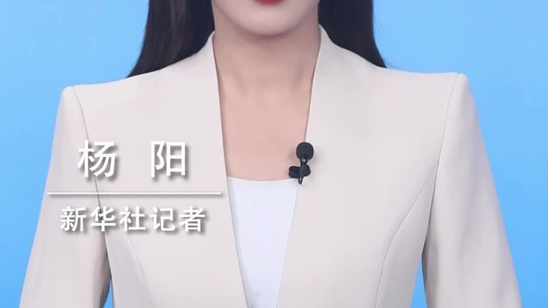解码广州数据服务流程：关键环节与优化策略